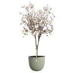 sereh rond 47cm vert scandinave